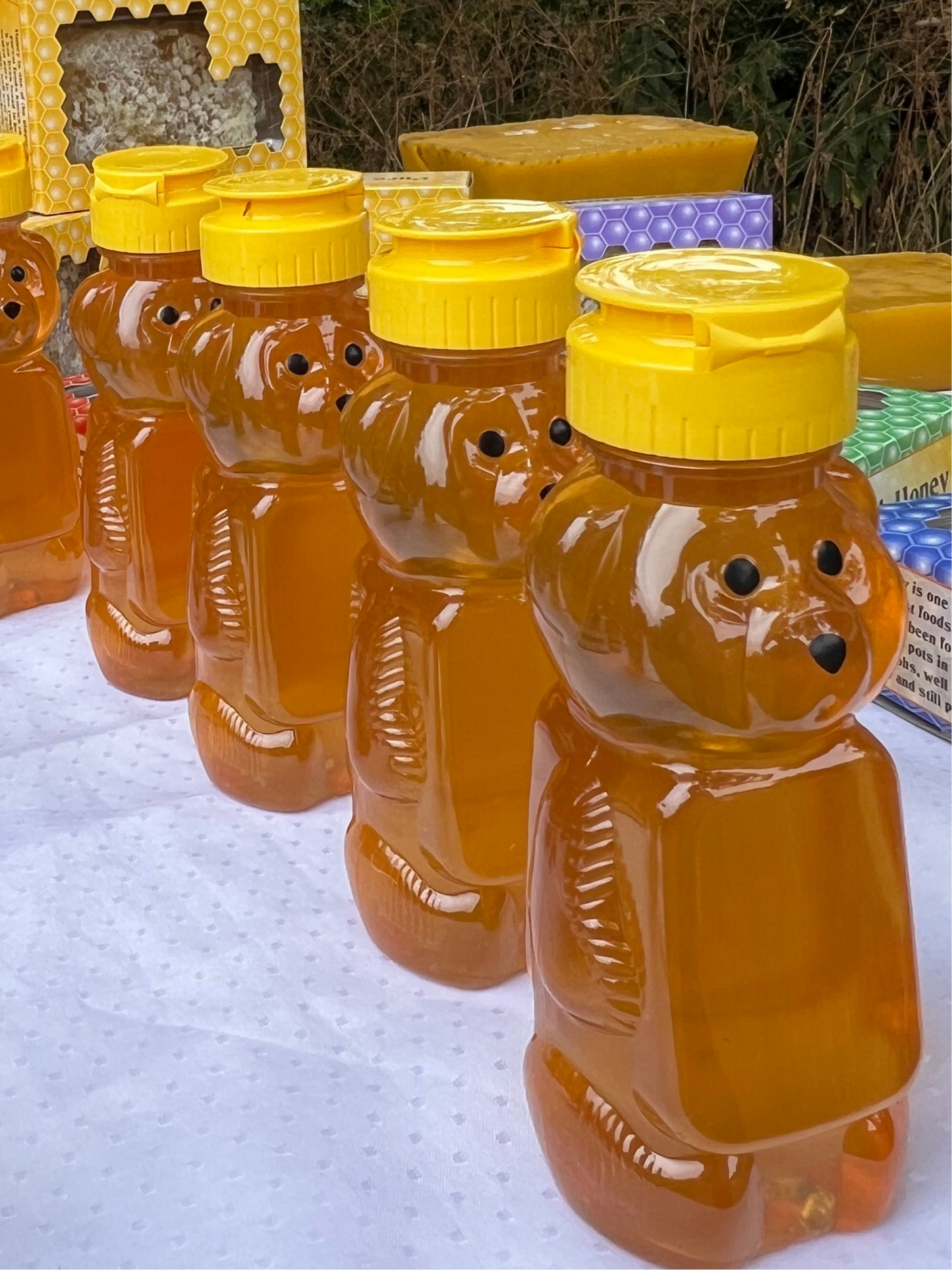 Honey bears