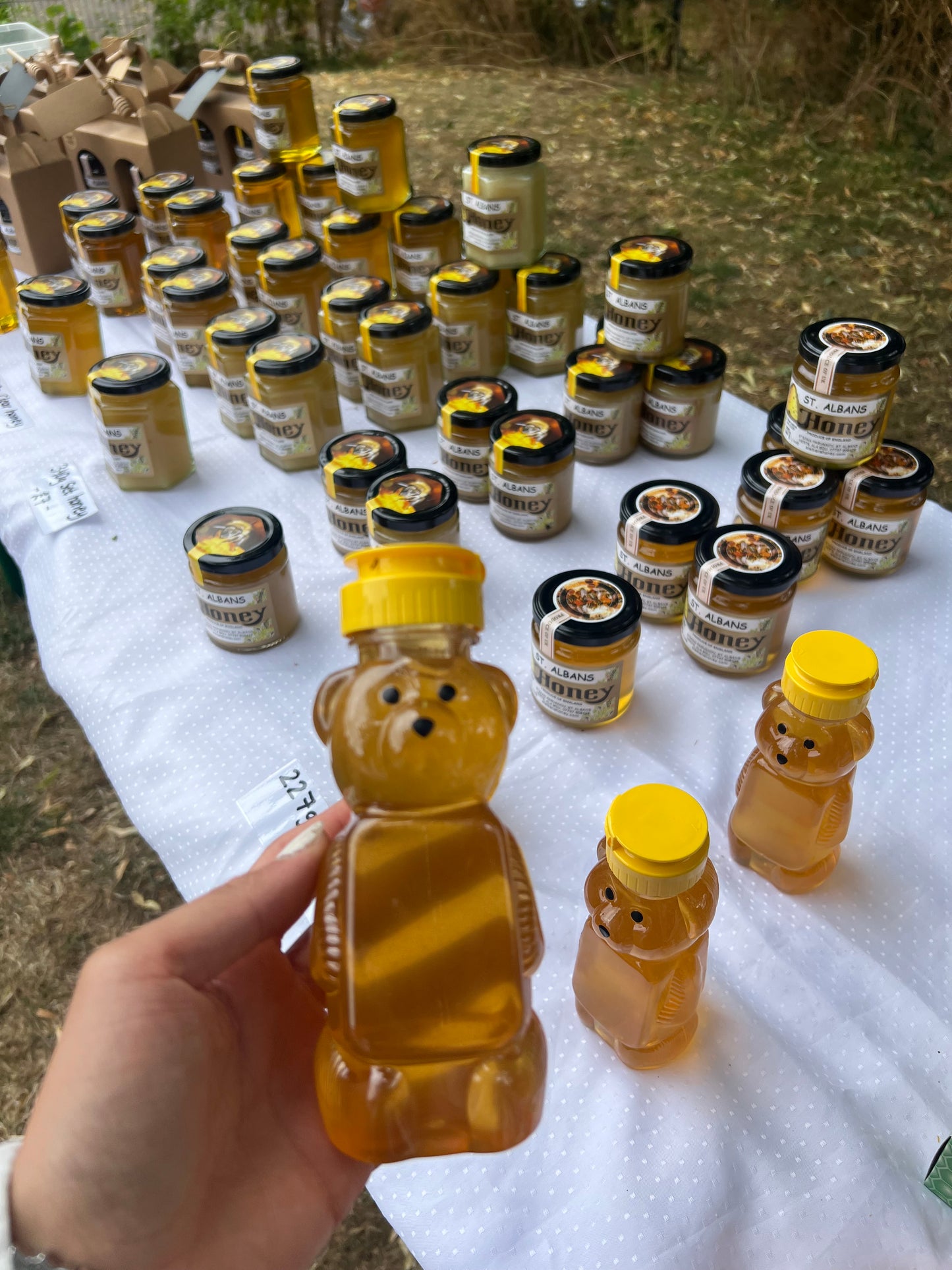 Honey bears