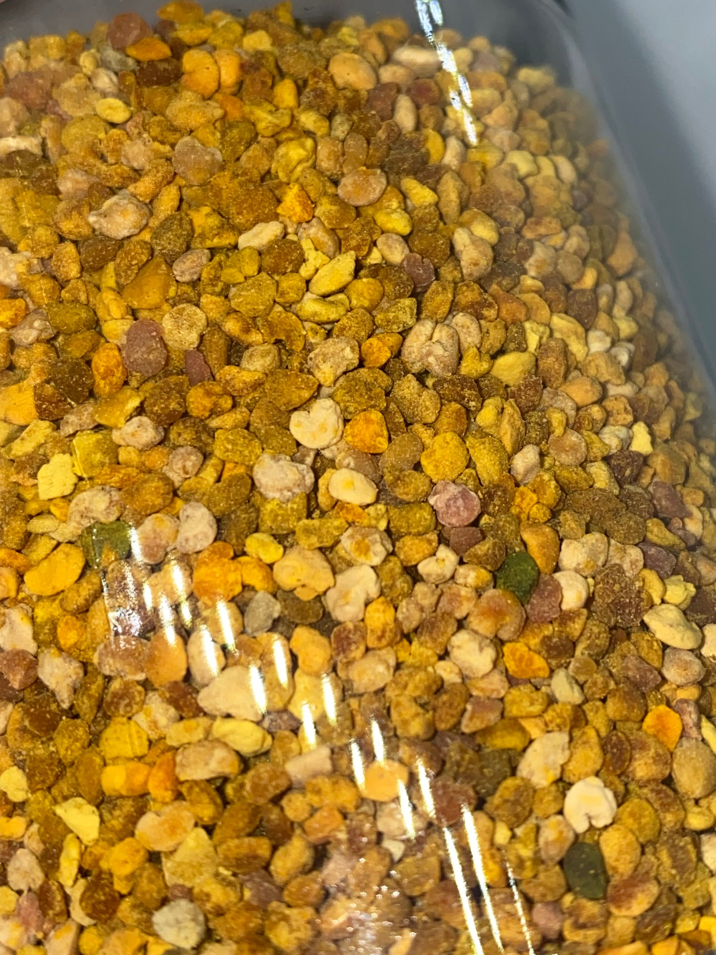 Raw Bee Pollen - Large [In season]