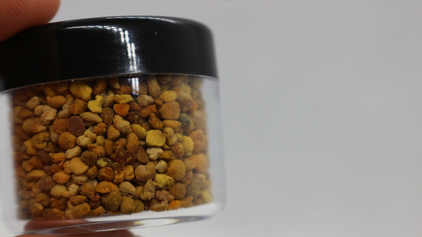 Raw Bee Pollen - Tester [In season]